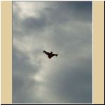 -23-05-18-Delbrueck-Drache-2.jpg